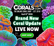 4.8 new coral.png