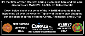 Screenshot 2026-04-09 at 7.04.17 PM.png