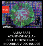 Screenshot 2026-04-09 at 7.08.04 PM.png