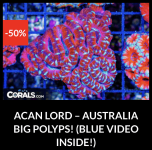 Screenshot 2026-04-09 at 7.08.18 PM.png