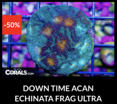 Screenshot 2026-04-09 at 7.08.38 PM.png