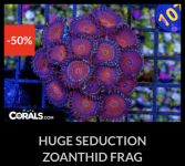 Screenshot 2026-04-09 at 7.09.08 PM.png