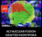 Screenshot 2026-04-09 at 7.09.38 PM.png