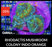 Screenshot 2026-04-09 at 7.09.54 PM.png