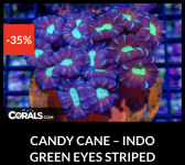 Screenshot 2026-04-09 at 7.11.00 PM.png