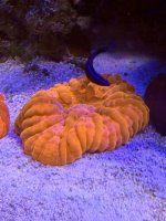 IMG_5997.jpeg
