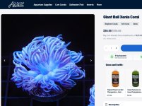 Giant Bali Xenia TSA.jpg