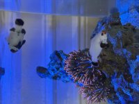 IMG_8888.jpeg