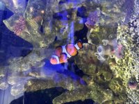 IMG_8886.jpeg