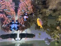IMG_8875.jpeg