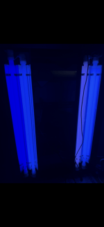 IMG_6029.png
