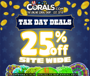 Tax Day Sale.png