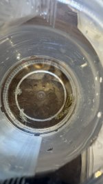 IMG_2499.jpeg