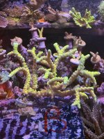 IMG_3076.jpeg