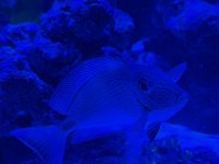 IMG_9967.jpeg