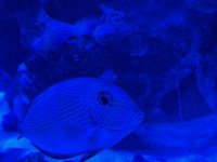 IMG_9966.jpeg
