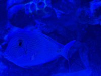 IMG_9965.jpeg