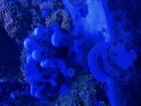 IMG_3887.jpeg