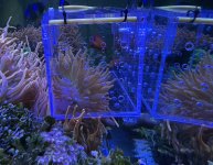 IMG_3571.jpeg