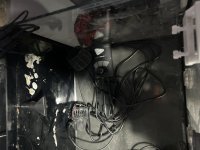 IMG_4926.jpeg
