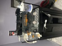 IMG_4925.jpeg