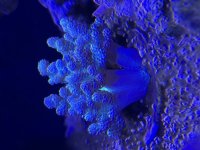 IMG_7748.jpeg