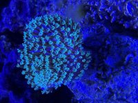 IMG_7751.jpeg