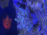 IMG_7776.jpeg