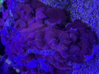IMG_7816.jpeg