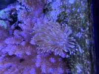IMG_3893.jpeg