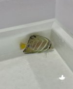 IMG_7588.jpeg