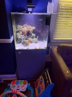 IMG_7461.jpeg