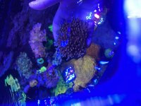 IMG_3481.jpeg