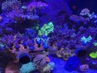 IMG_3483.jpeg
