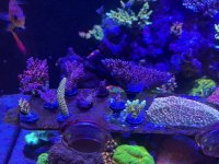 IMG_3484.jpeg