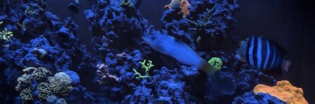 IMG_1997.jpeg