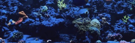 IMG_1996.jpeg