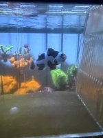 IMG_4236.jpeg
