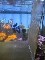 IMG_4237.jpeg
