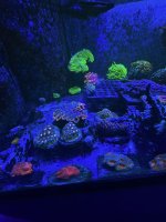 AquaCam_70BD1AB8.jpeg
