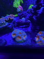 IMG_1613.jpeg
