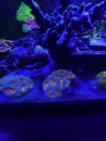 AquaCam_DF0BF96C.jpeg