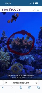 IMG_1342.jpeg
