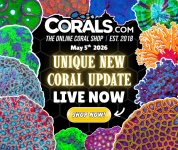 5.5 new coral.png