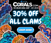 clams 30_ off(1).png