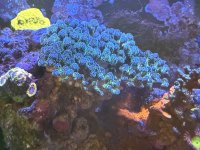 IMG_4847.jpeg