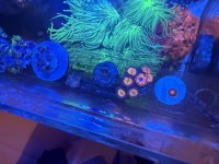 IMG_4841.jpeg