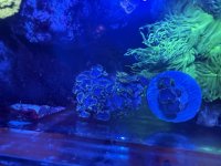 IMG_4842.jpeg