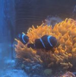 IMG_4871.jpeg