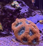 IMG_6813.jpeg